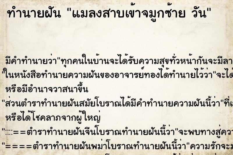 ทำนายฝัน แมลงสาบเข้าจมูกซ้าย วัน ทำนายฝัน แมลงสาบเข้าจมูกซ้าย วัน